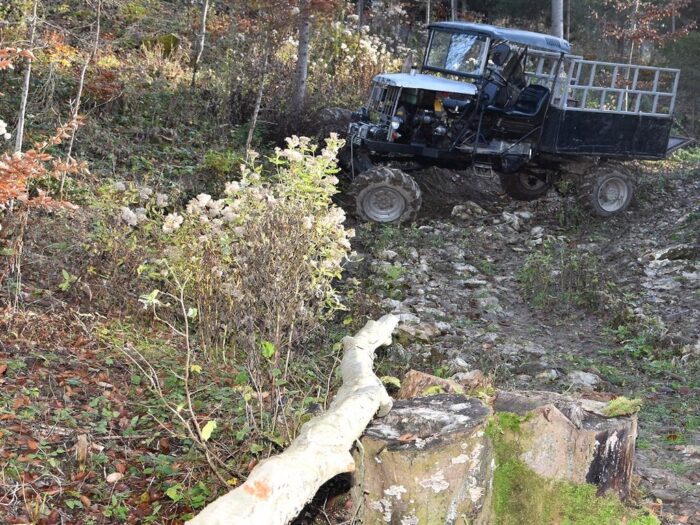 wycinka drzew w lesie, Szczawnica, powiat nowotarski, GOPR Szczawnica