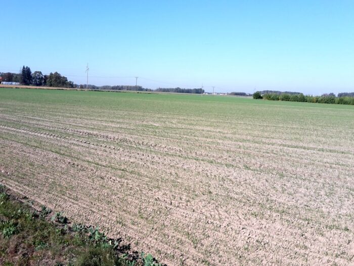 nawożenie, NIK, raport, gleba, uprawa, badanie gleby