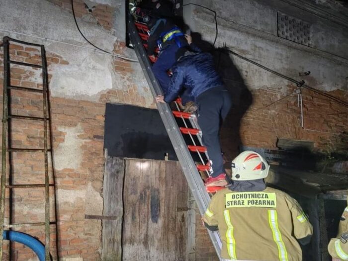 Złodziej zamknięty w gołębniku, Kamieniec Ząbkowicki, Katarzyna Mazurek, kradzież gołębi, KPP Ząbkowice Śląskie