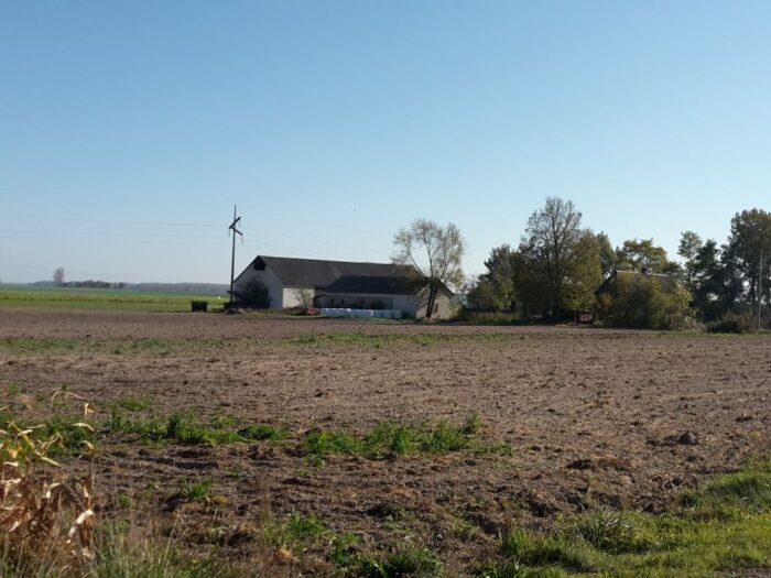 Obrót nieruchomościami rolnymi, grunty rolne, raport GUS, nieruchmości rolne