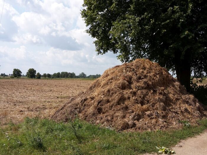 Wiosenne nawożenie, terminy nawożenia, Grzegorz Witkowski, Krzysztof Smaczyński, Urszula Pasławska
