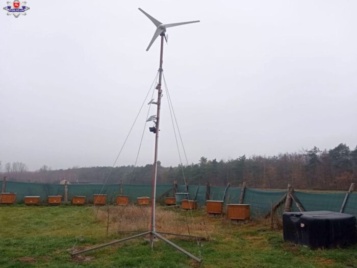 energia, kradzież, oze