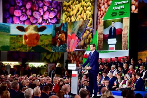 mateusz morawiecki, premier, przysucha