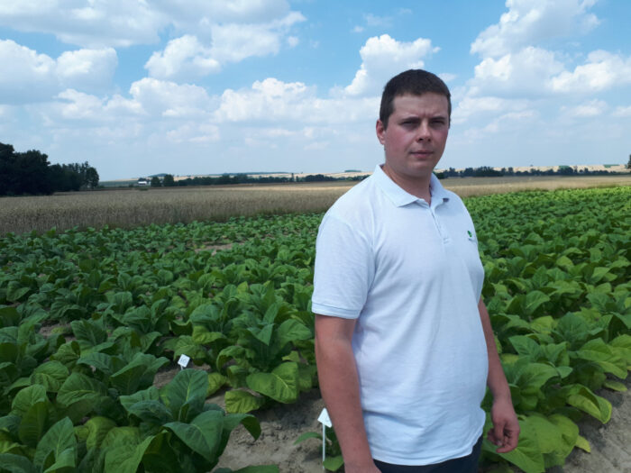 Rafał Popielec, tytoń, Zamojszczyzna