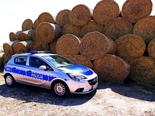 policja, radiowóz, siano