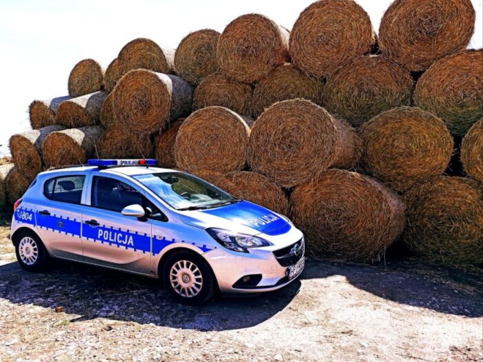 policja, radiowóz, siano