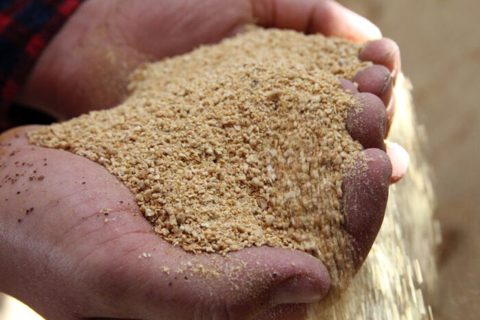 gmo, pasze gmo, polski drób, trzoda chlewna, mięso drobiowe, żywienie zwierząt, śruta sojowa, #HodowcyRazem