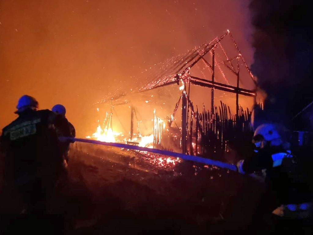 bydło na gigancie, Leśnictwo Telatyn, RDLP Lublin, Marek Dziaduszyński, straż leśna