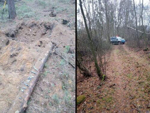 niewybuchy, powiat lubański, las