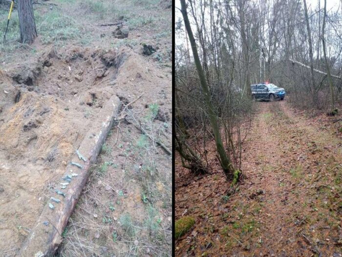 niewybuchy, powiat lubański, las