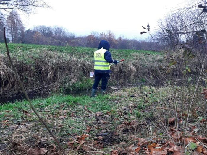 zanieczyszenie łąk