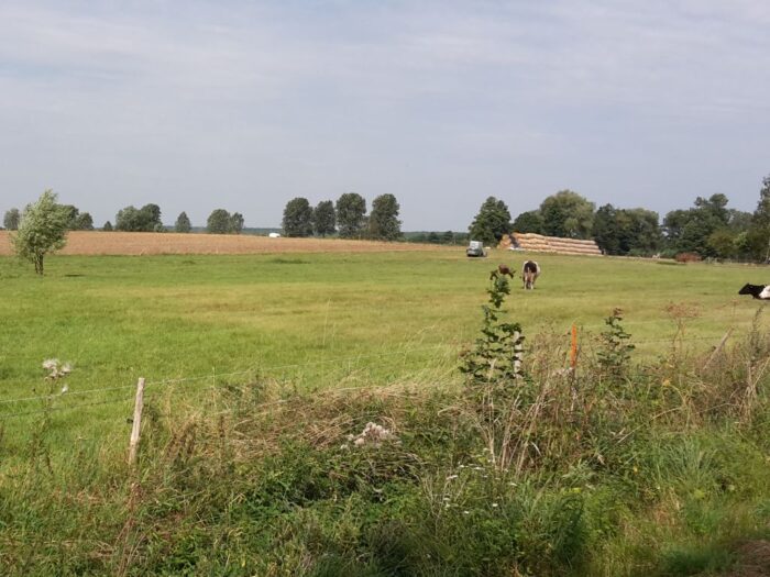 nawożenie, NIK, raport, gleba, uprawa, badanie gleby