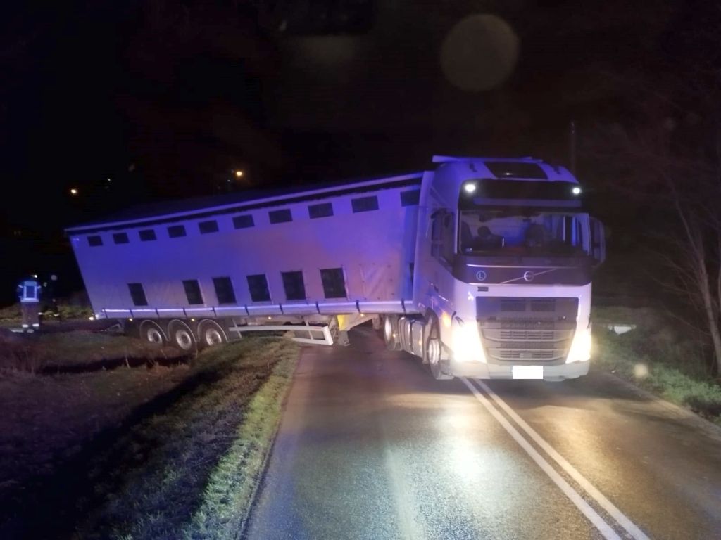 transport drobiu, Bystrzyca, KP PSP Mogilno, żywe kurczaki