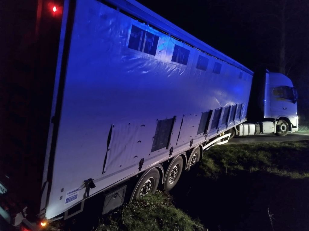 transport drobiu, Bystrzyca, KP PSP Mogilno, żywe kurczaki