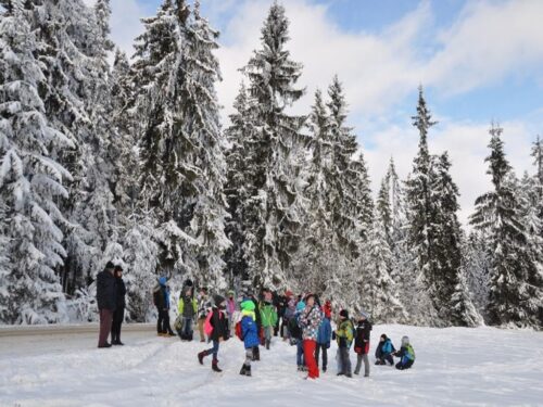 zimowisko dla dzieci rolników, KRIR, zimowisko w Kościelisku