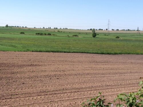 długotrwała dzierżawa, KOWR, ziemia, grunty rolne, Wojciech Adamczyk