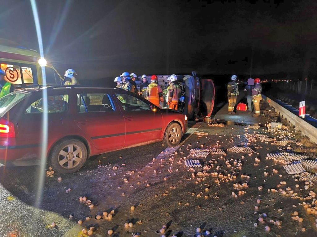 jaja wypadły na drogę, Górki Szczukowskie, Małgorzata Perkowska-Kiepas, KM PSP Kielce