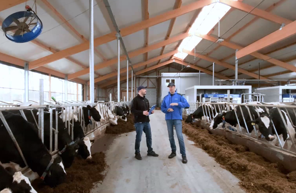 wirtualne zwiedzanie obory, roboty udojowe, zautomatyzowany dój, DeLaval, bydło mleczne,
