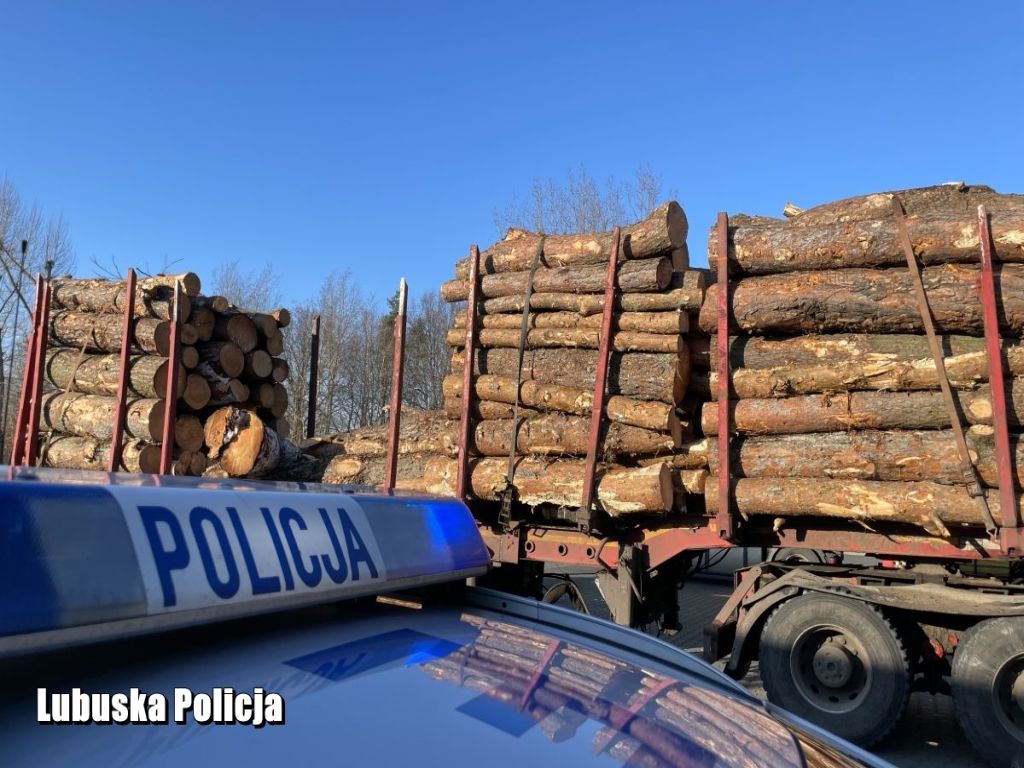 transport drewna, Krzeszyce, powiat sulęciński, Klaudia Biernacka, KPP Sulęcin