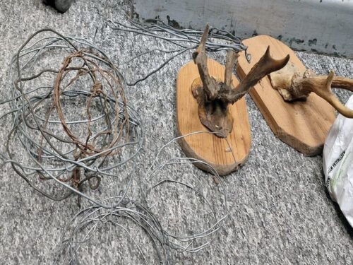 kłusownictwo, Edyta Żur, gmina Opole Lubelskie, KPP Opole Lubelskie