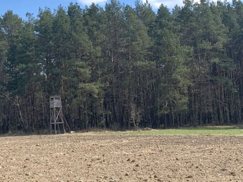 prawo łowieckie, szkody łowieckie, ministerstwo środowiska, Polski Związek Łowiecki