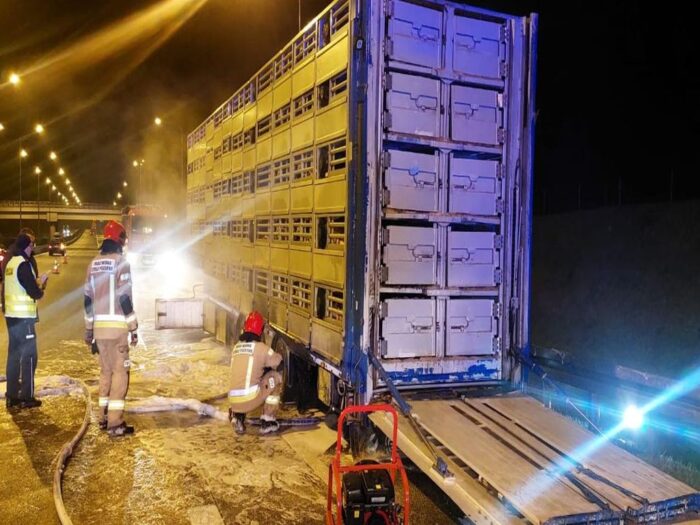 transport trzody chlewnej, Szymon Maciejewski, KP PSP w Nowym Tomyślu, autostrada A2
