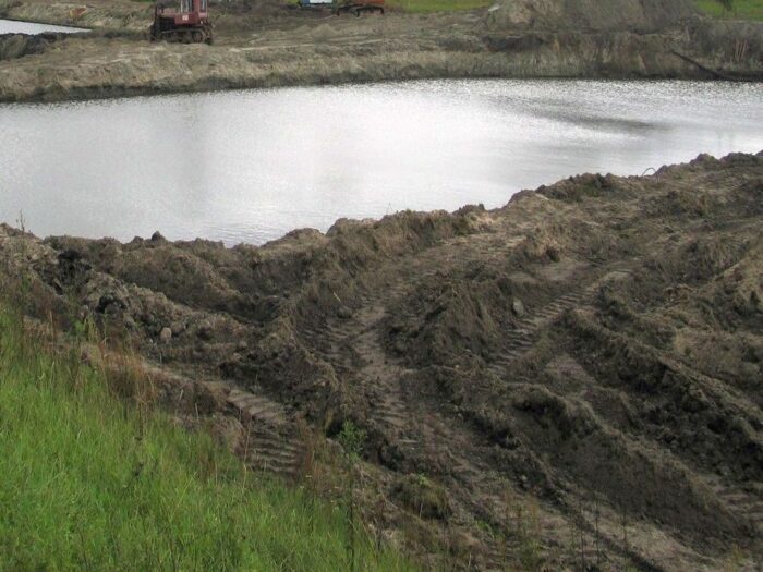 modernizacja stawów, wyłudzenia dotacji z ARiMR, stawy rybackie