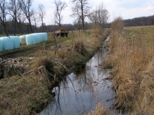 susza, Kalifornia, Stany Zjednoczone