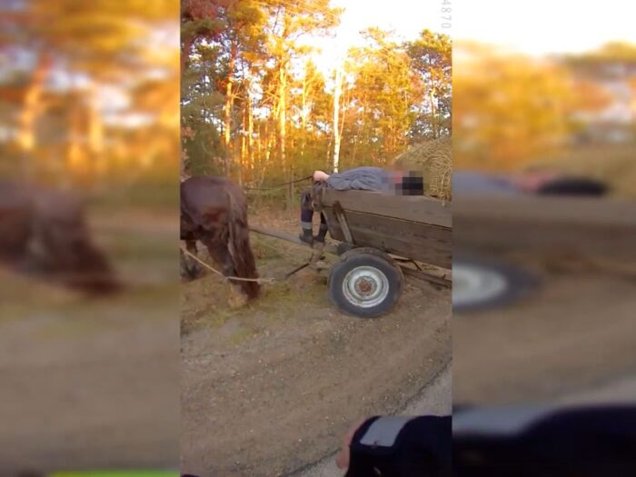 pijany woźnica, powiat ostrowiecki, policja świętokrzyska