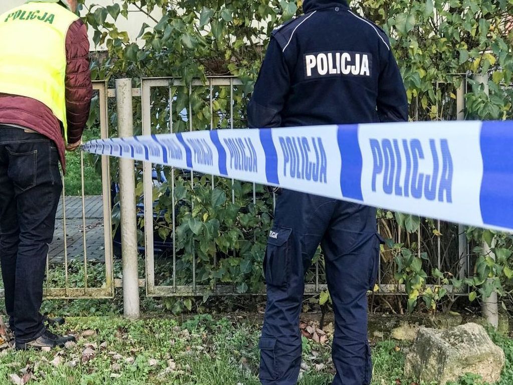 radiowóz, policja