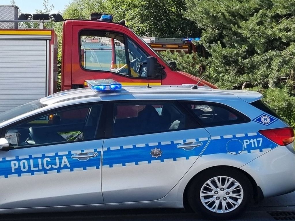 radiowóz, policja
