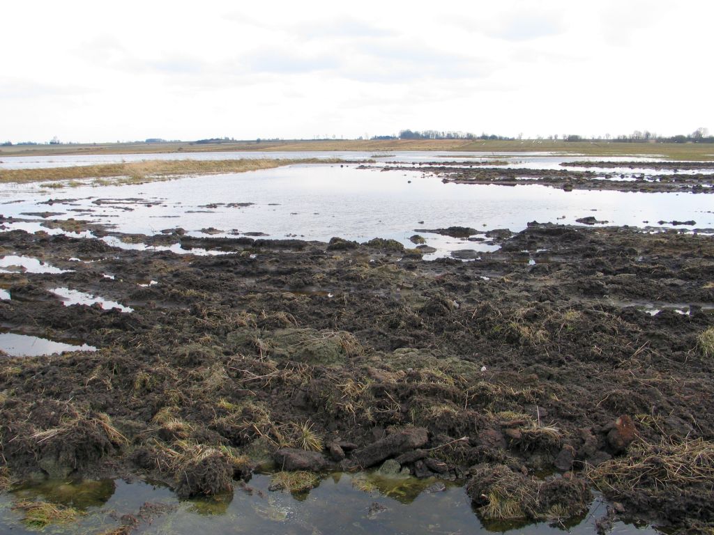 Wody Polskie, zalane pola i gospodarstwa, zniszczony dobytek rolników