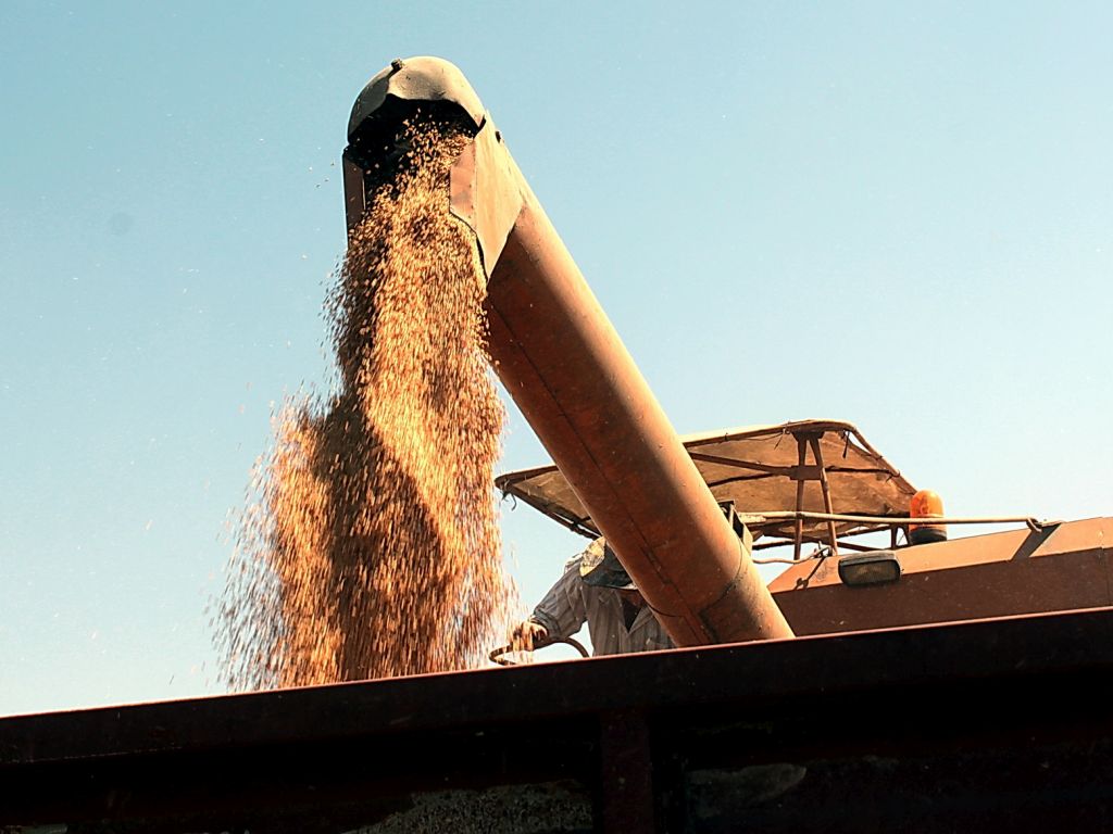 Wielkopolska Izba Rolnicza, Opłacalność produkcji rolnej, hodowla trzody chlewnej