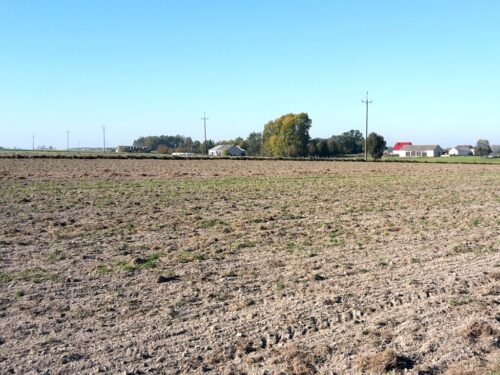 nawożenie, NIK, raport, gleba, uprawa, badanie gleby