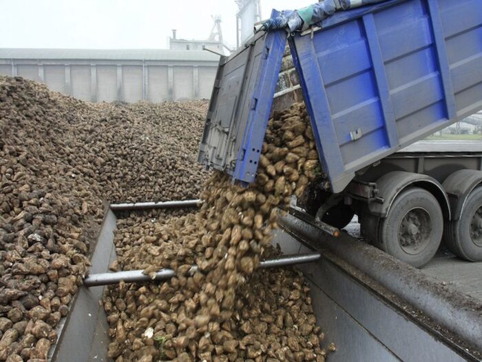 kampania sokowa w KGS, Krajowa Grupa Spożywcza, sok z buraków na cukier i melasę
