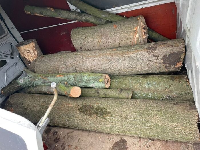 kradzież derwna z gospodarstwa, Godziszowa, gmina Mściwojów, Ewa Kluczyńska