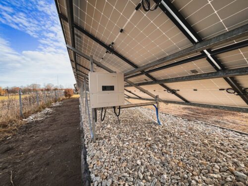 Mieczysław Koch, Stowarzyszenia Energii Odnawialnej, zielona energia