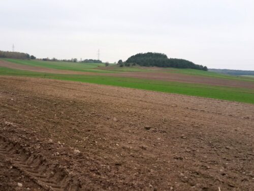 grunty kwalifikowane jako hektary, MRiRW, zadrzewienia, oczka wodne