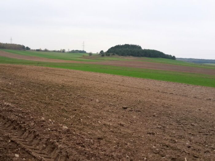 grunty kwalifikowane jako hektary, MRiRW, zadrzewienia, oczka wodne