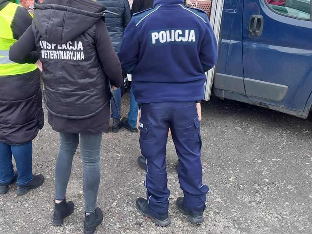 odbieranie rolnikom zwierząt, Marcin Wiącek, RPO, ochrona zwierząt, inspekcja weterynaryjna