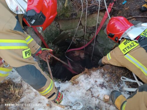 klacz utknęła w studni, Sulimy, Grzegorz Różański, KP PSP Giżycko