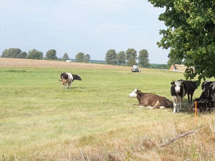 Europejski Zielony Ład, Copa-Cogeca, Marian Sikora, FBZPR
