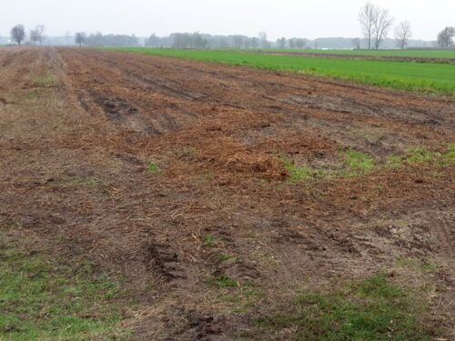 fosforowe nawozy mineralne, nawozy organiczne, Nature Communications