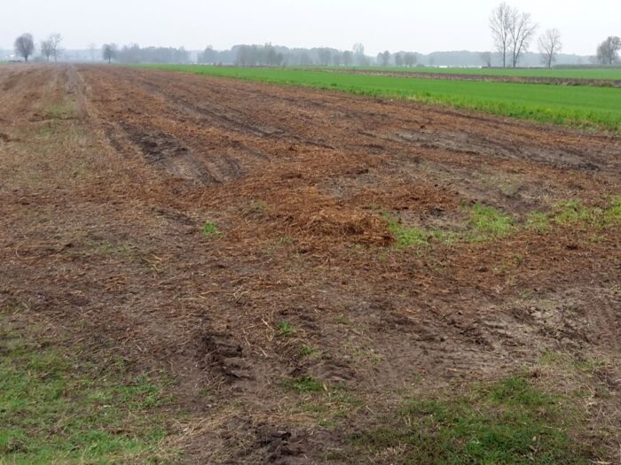 fosforowe nawozy mineralne, nawozy organiczne, Nature Communications