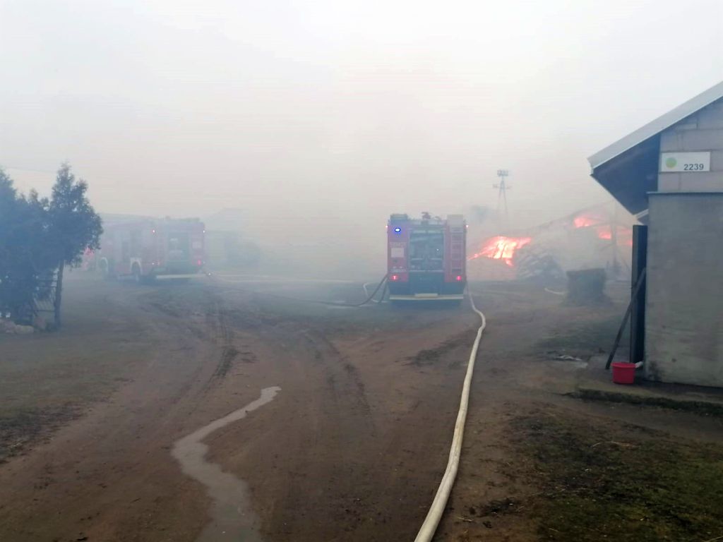 pożar stodoły, Kuskowo, Rafał Sekuna, KP PSP Przasnysz