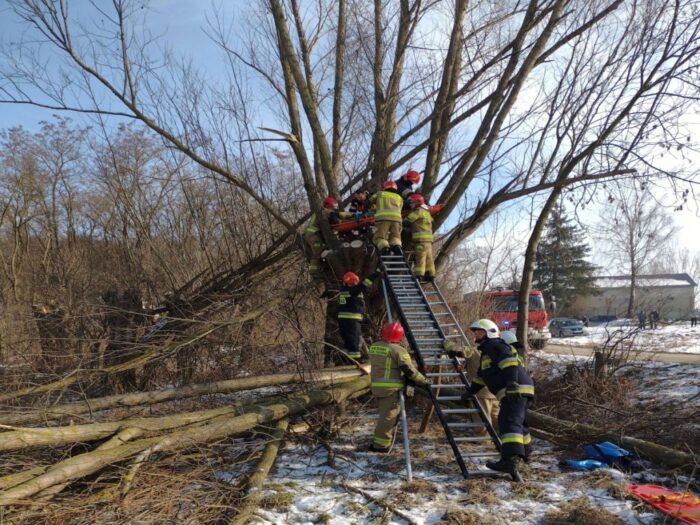 Ranny pilarz na drzewie, Drzenkowice, KP PSP Ostrowiec Świętokrzyski