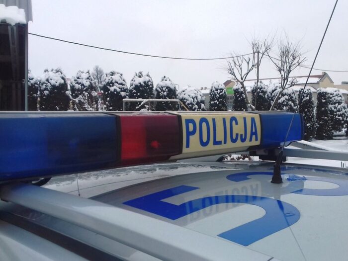 psy zagryzły daniele, gmina Majdan Królewski, powiat kolbuszowski, ataki na zwierzęta gospodarskie