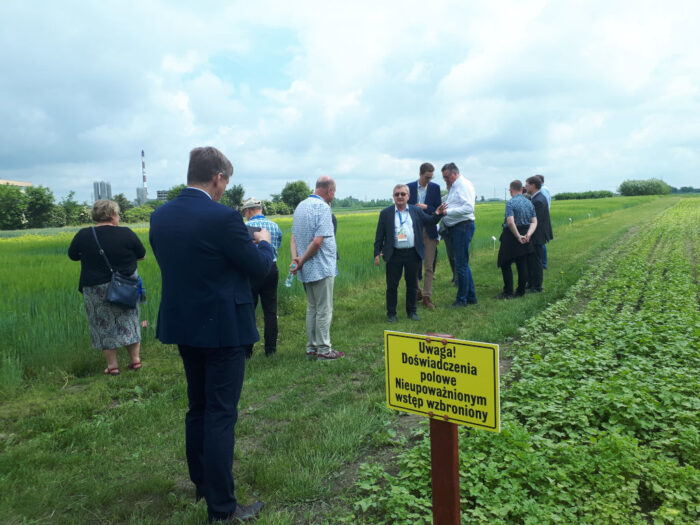 Stacja Doświadczalna Skierniewice, poletka, rośliny, Jarosław Gołębiewski