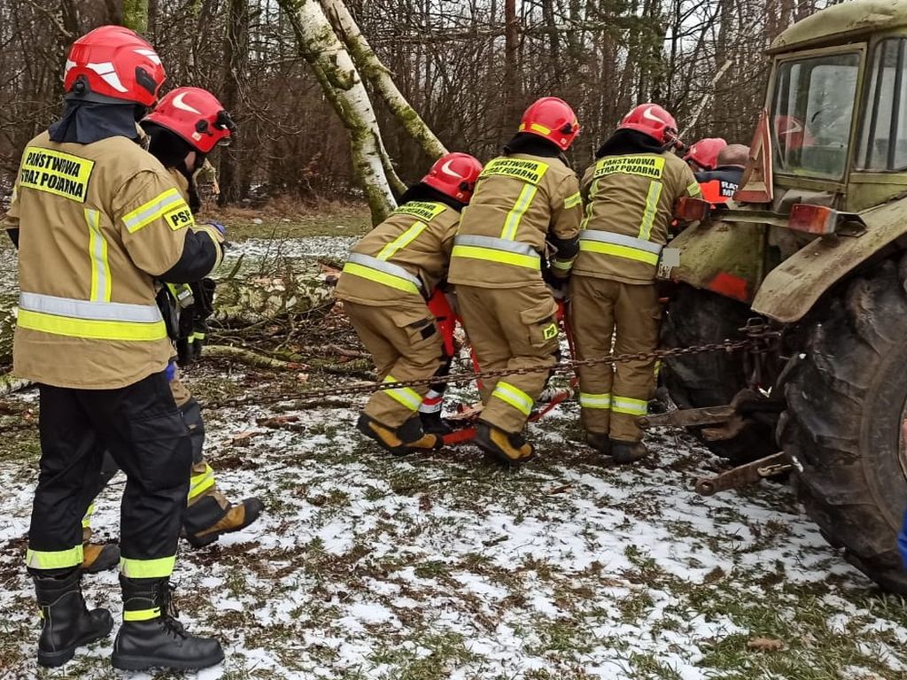 śmierć przy wicince drzewa, Głębowice, powiat oświęcimski