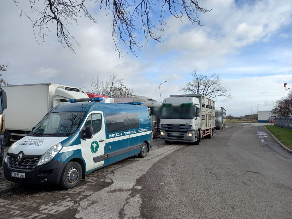 kontrola transportu zwierząt, powiat rawicki, WITD Poznań, Kalisz, Ostrów Wielkopolski